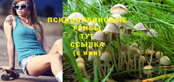 гидропоника Алексеевка