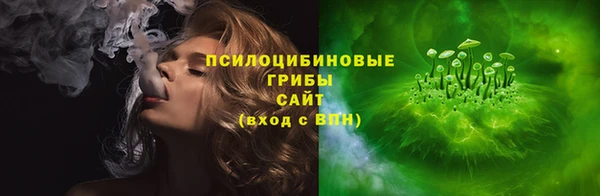 дживик Абаза