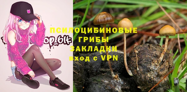 герыч Алзамай