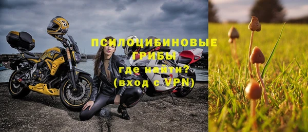 дживик Абаза