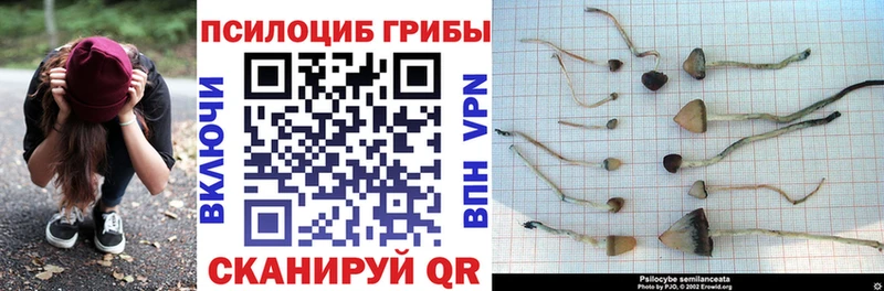 Псилоцибиновые грибы Psilocybine cubensis  это наркотические препараты  Татарск 